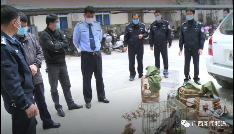 问鼎国际(中国区) - 官方网站
